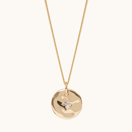 February Birthstone Necklace